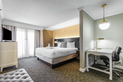 The Burgundy Hotel, Tapestry Collection by Hilton image 48